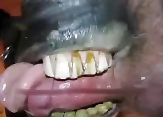 Guy gets blown by his uber-sexy horse